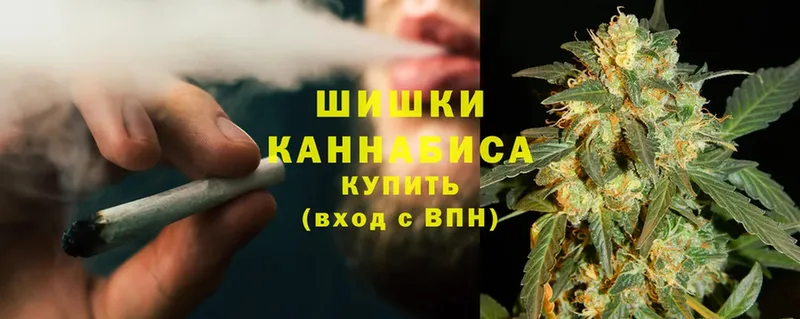 закладка  Опочка  Шишки марихуана конопля 